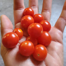 Cherry Rojo - 500gr Orgánico