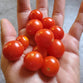 Cherry Rojo - 500gr Orgánico
