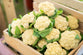 Coliflor Mediano (A CONFIRMAR)