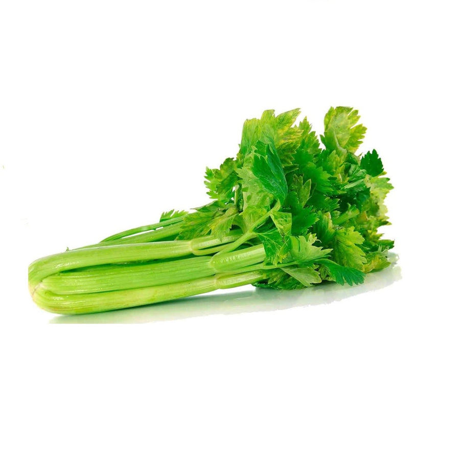 Apio Planta penca ancha -500gr