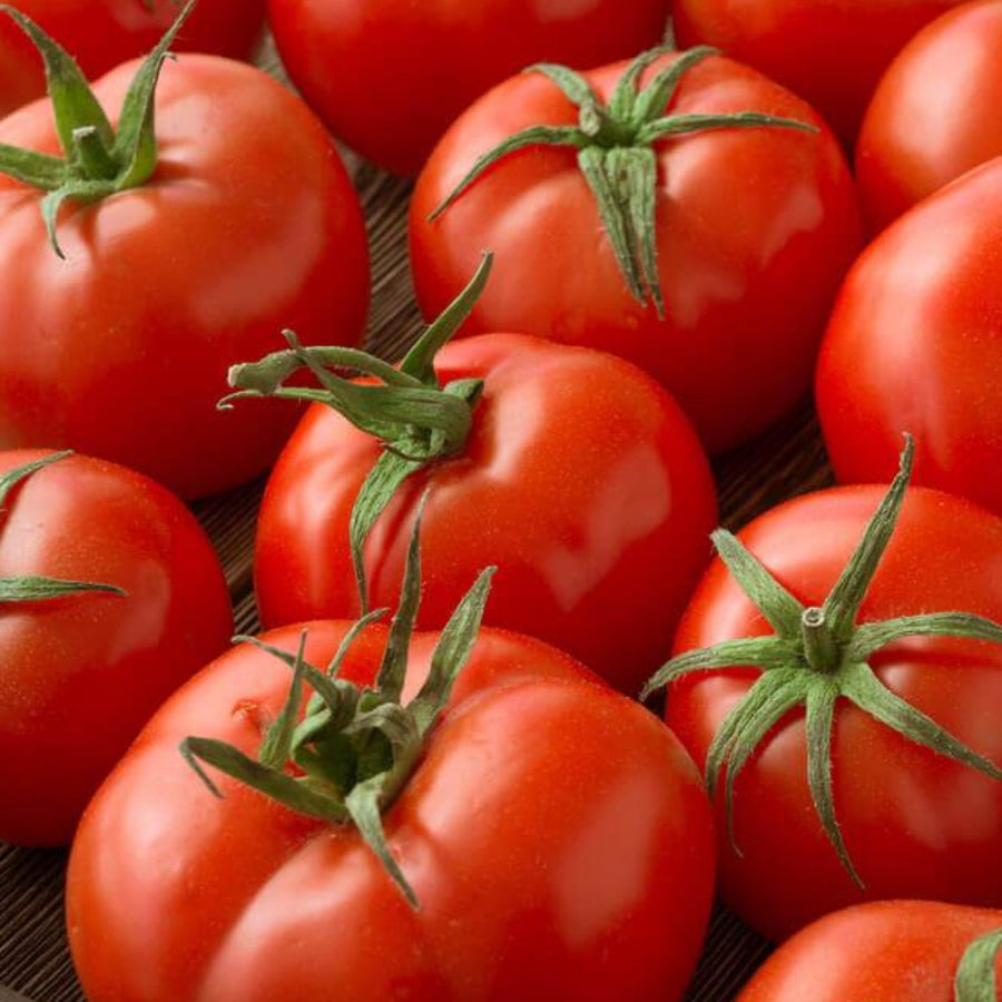Tomate Redondo 1Kg Orgánico