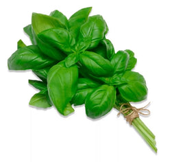 Albahaca verde fresca - 80gr