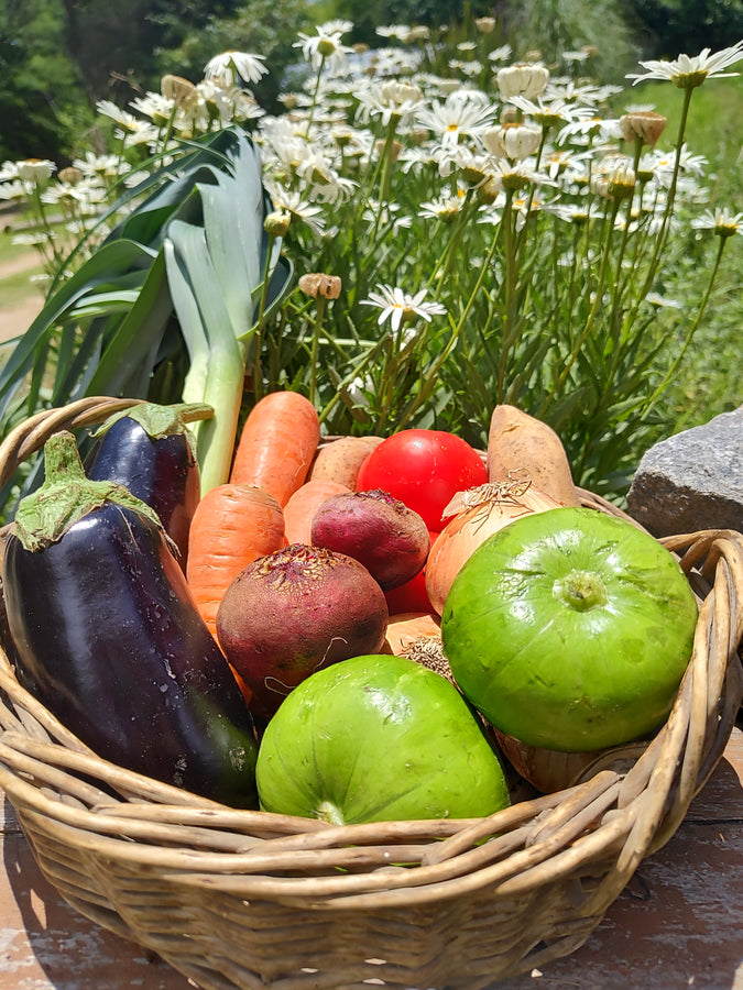 Canasta Verduras agroecológicas (produccion propia)