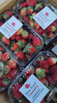 FRUTILLA  x 500gr Orgánica -