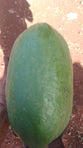 PAPAYA- Unidad aprox 1kg