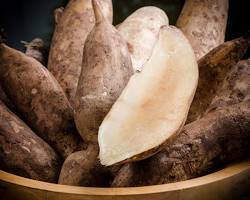 Yacón (Chacón) - La Fruta de la Tierra 750gr
