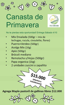 Canasta Verduras