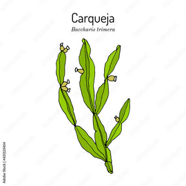 Carqueja Seca- 10 gr