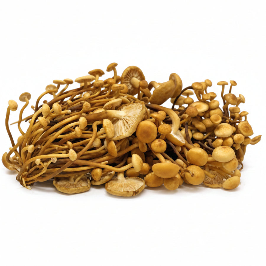 Enoki Fresco - Bandeja 200gr