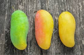 Mango ORO orgánico (A confirmar)