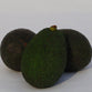 Palta Hass (unidad)