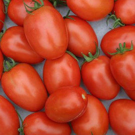 Tomate Perita 1kg Finca