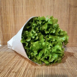 Lechuga solo Verde  -350gr