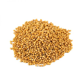 Mostaza Amarilla en Grano 100gr - Granel