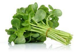 Verdolaga Fresca- Super alimento -350gr